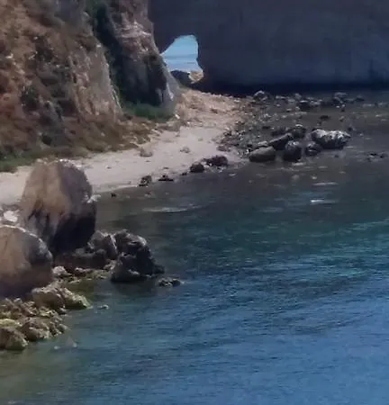 Terry